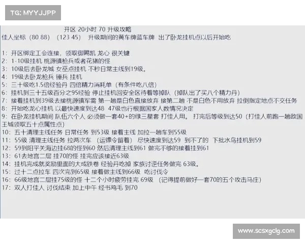 御龙在天挂机策略全解析从新手到高手的全面攻略与技巧 御龙在天挂机策略全解析从新手到高手的全面攻略与技巧