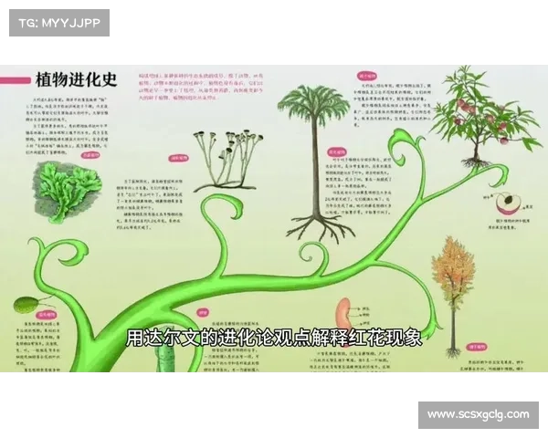 卷帘绿魔揭秘生态奥秘 它是如何改变我们环境的隐藏力量 卷帘绿魔揭秘生态奥秘 它是如何改变我们环境的隐藏力量