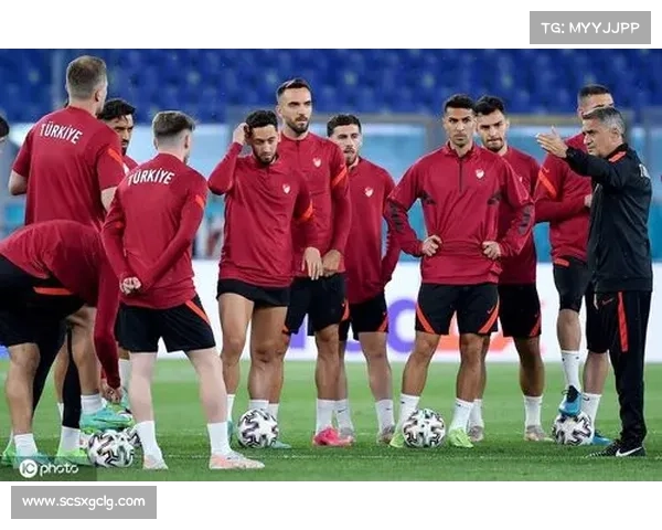 如何查询土耳其足球队最新比赛安排与成绩信息