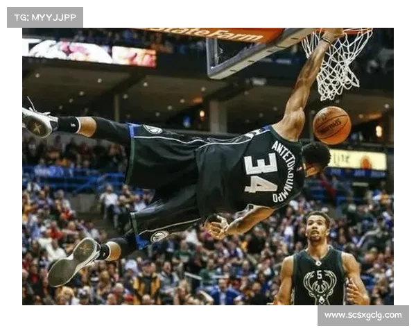 字母哥与世界篮球明星的源国探秘：来自哪些国家的顶级球员引领风潮