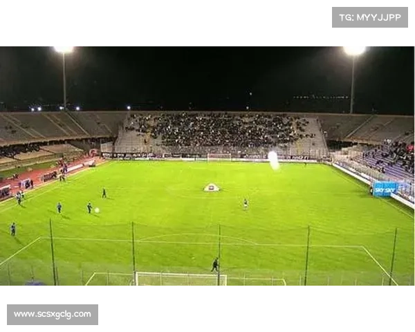 意甲球场建设受限的多重因素分析及其对联赛发展的影响