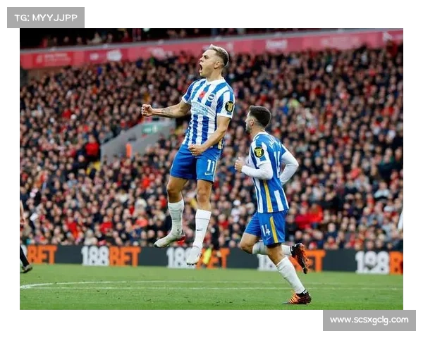 探究以维尔贝克获黑贝外号的原因与球迷戏称背后的故事