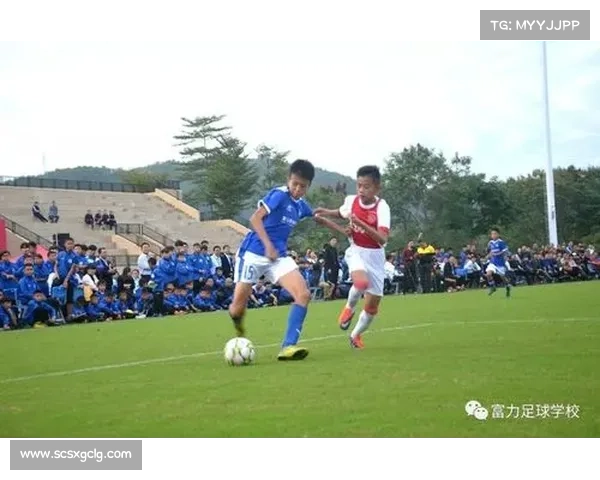 如何借鉴阿贾克斯青训模式实现足球青训体系的成功与创新