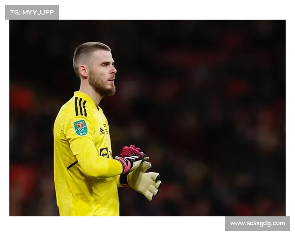 德赫亚在国家队比赛中屡次扑救神勇助力球队胜利展现顶级门将风采