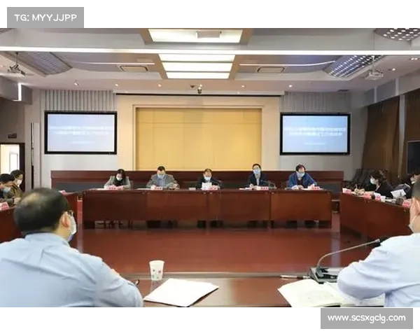 推动双羽天下合作模式助力双城经济增长与发展路径探索